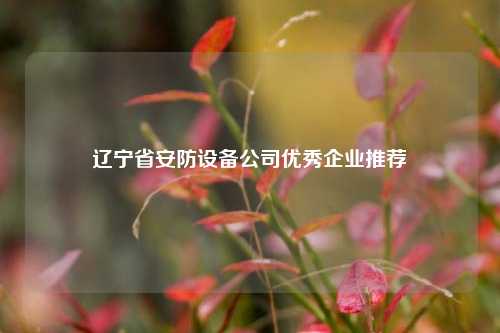 遼寧省安防設(shè)備公司優(yōu)秀企業(yè)推薦